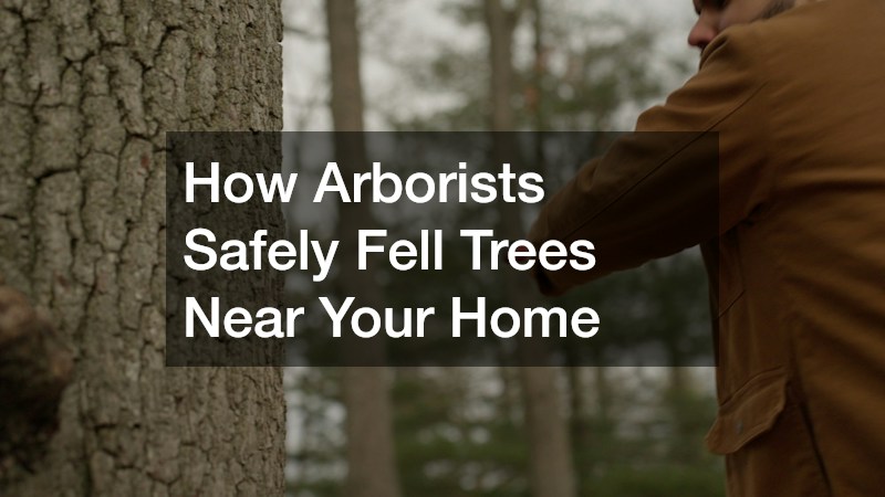 How Arborists Safely Fell Trees Near Your Home